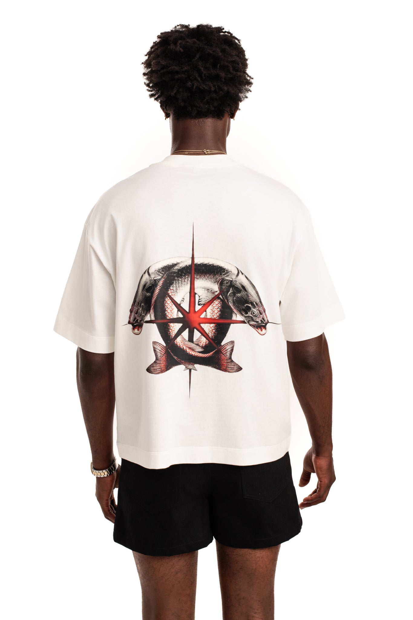 CAMISA COMPASS